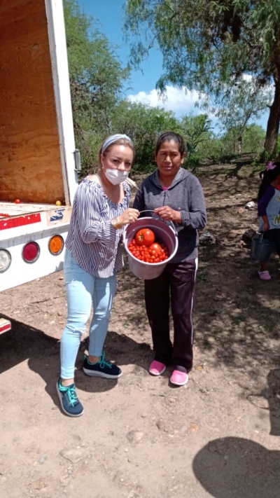 Entrega DIF municipal jitomate en Comunidades