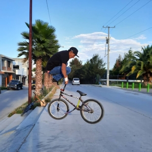 El deporte BMX o mejor conocido como Bici Cross , está vigente en Dolores Hidalgo.